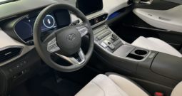 Hyundai Santa Fe 1.6 T-GDi PHEV Premium