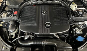 Mercedes E 250 CDI BlueEFFICIENCY Avantgarde full