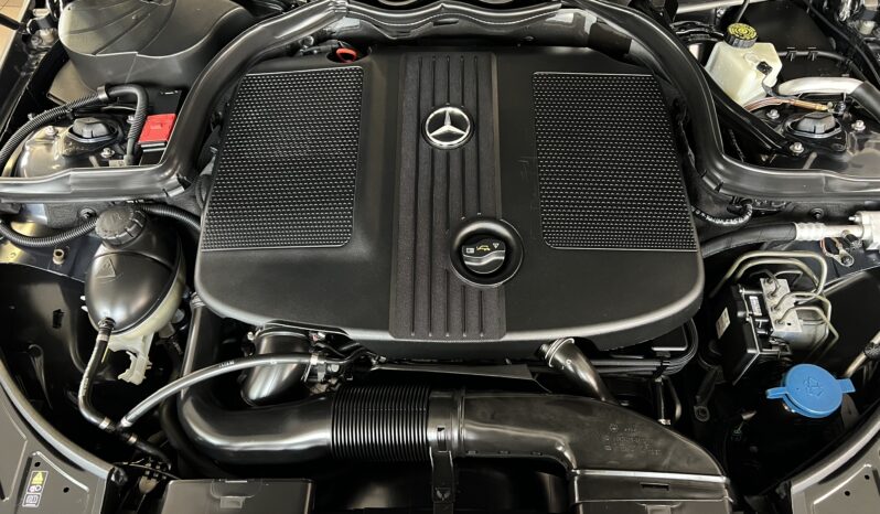 Mercedes E 250 CDI BlueEFFICIENCY Avantgarde full